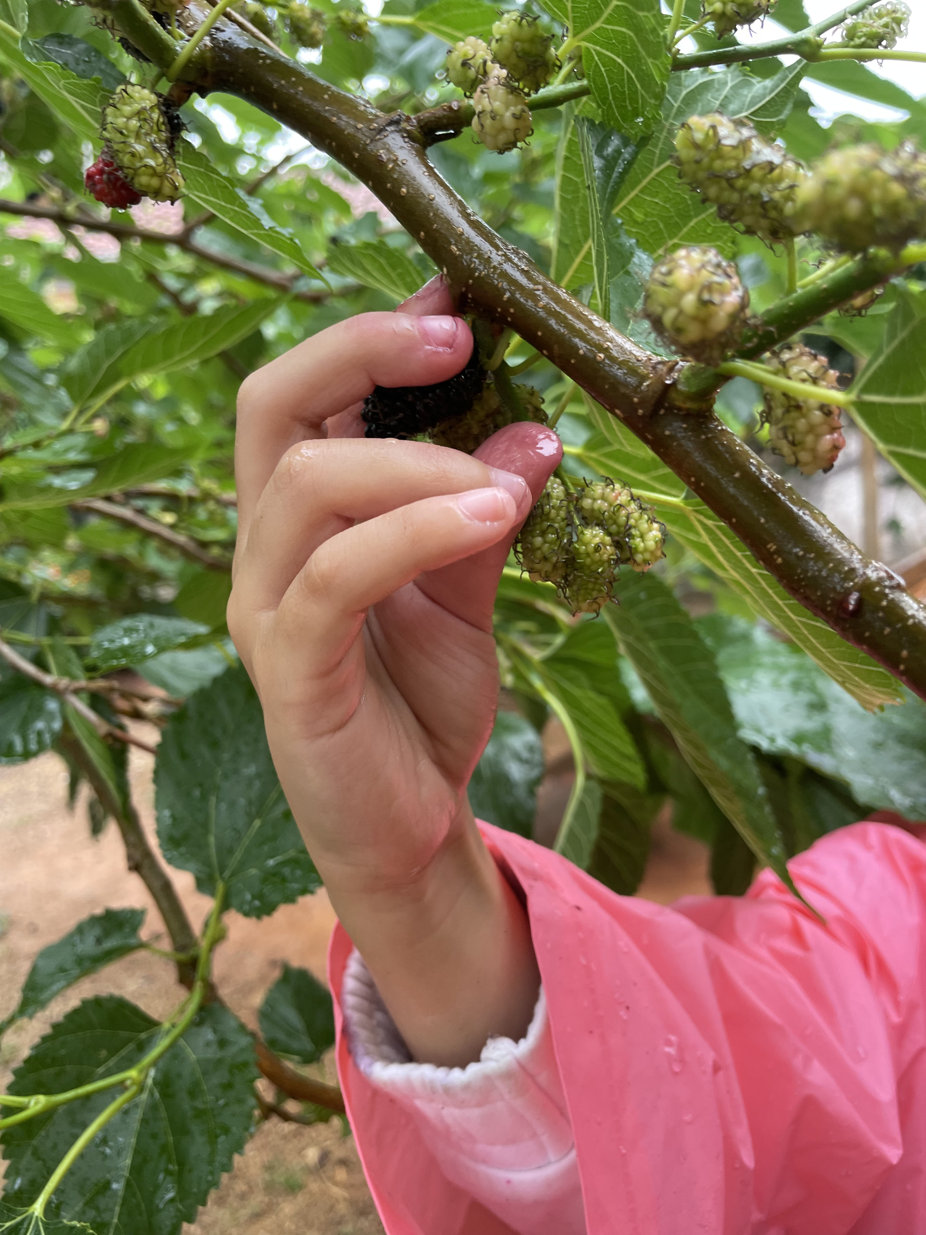 Contato com a Natureza